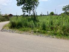 Мачарка берег