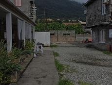 Продаю готовый бизнес в Гагры