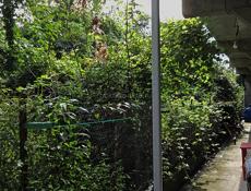 Продаю готовый бизнес в Гагры