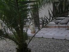 Продаю готовый бизнес в Гагры