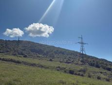 Цандрипш СРОЧНО 45 СОТ