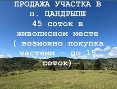 Цандрипш СРОЧНО 45 СОТ