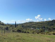 Цандрипш СРОЧНО 45 СОТ