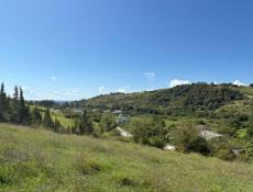 Цандрипш СРОЧНО 45 СОТ