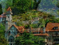 Гагра Срочно