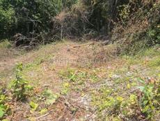 Гагра Срочно