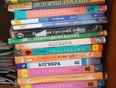 Школьные книги 