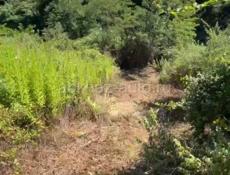 Новый район.