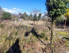 Земельный участок 16 соток на Маяке! 