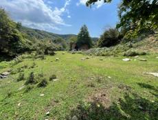 Участок в келасуре 