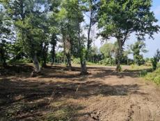 Участок Цандрипш от моря 300 м 