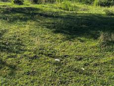 Срочно земельный участок