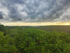 Участок Лидзава с. Асечко 26.8 соток Продаю 