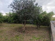 Участок Лидзава с. Асечко 26.8 соток Продаю 