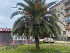 Сегодня такая цена  половино сейчас остальное да конца етого года