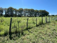 Продается земельный участок а с. Гячрипш (Сальма)