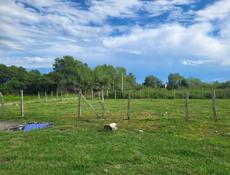 Срочно продаются два участка