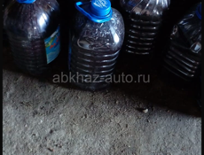Продается Бузина 5 литров 2000 руб. торг уместен