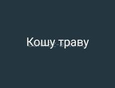 Кошу  траву рабочих не надо 