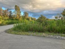 МАЧАРКА ПОД ГОСТИНИЦУ БЕРЕГ