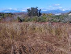 Участок 1 гектар