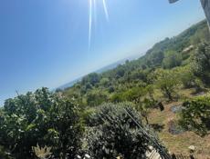 срочно участок