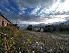 Срочно, 66 сотых