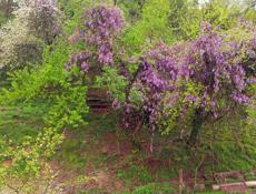 Продаются 2 смежных участка по 15 соток