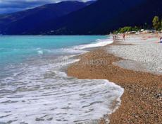  ГАГРА: УЧАСТОК НА БЕРЕГУ МОРЯ (Кемпинг) 21 сотка