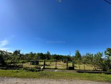 Участок 25 соток