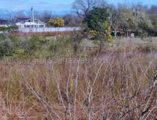 Участок 1 гектар 