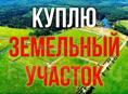 Куплю 
