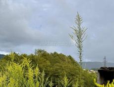 УЧАСТОК 10 СОТОК В СУХУМЕ 3 МИН ЕЗДЫ ОТ ВОКЗАЛА 