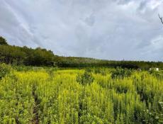 УЧАСТОК 10 СОТОК В СУХУМЕ 3 МИН ЕЗДЫ ОТ ВОКЗАЛА 