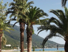 Продаю 8 сот