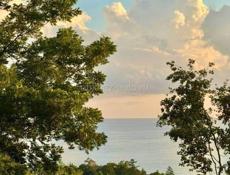 УЧАСТОК 6 СОТОК С ВИДОМ НА МОРЕ В СУХУМЕ НА ТУРБАЗЕ