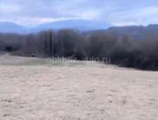 Участок 1.5 гектара 