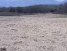 Участок 1.5 гектара 