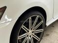 Vossen