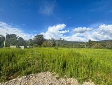 Срочно ‼️ выгодное предложение ‼️