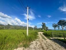 Срочно ‼️ выгодное предложение ‼️