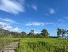 Срочно ‼️ выгодное предложение ‼️