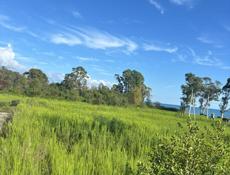 Срочно ‼️ выгодное предложение ‼️