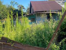 На Старом поселке