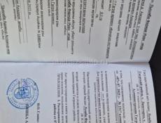 Цандрипш 