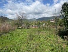 УЧАСТОК В СУХУМЕ С ВЕТХИМ СТРОЕНИЕМ