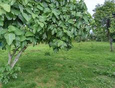 Продаю участок