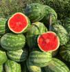 Продается арбуз 🍉 
