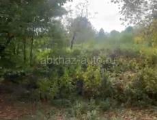 🌿 Земельный участок в Гулрыпше — ваш шанс обрести райский уголок!