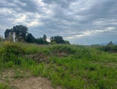 📍 Гагрский район, село Алахадзы